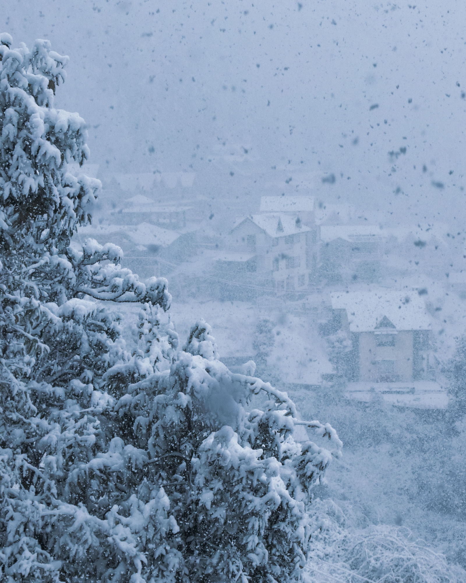 The Complete Guide to Winter Property Preparation